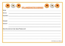 Pflanzensteckbrief-verfassen3.pdf